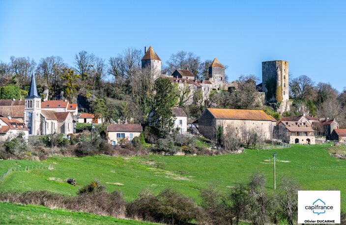 Murs et fonds : gite, chambres d'hôtes et table d'hôtes à vendre CHAUDENAY LE CHATEAU (21) — photo 4