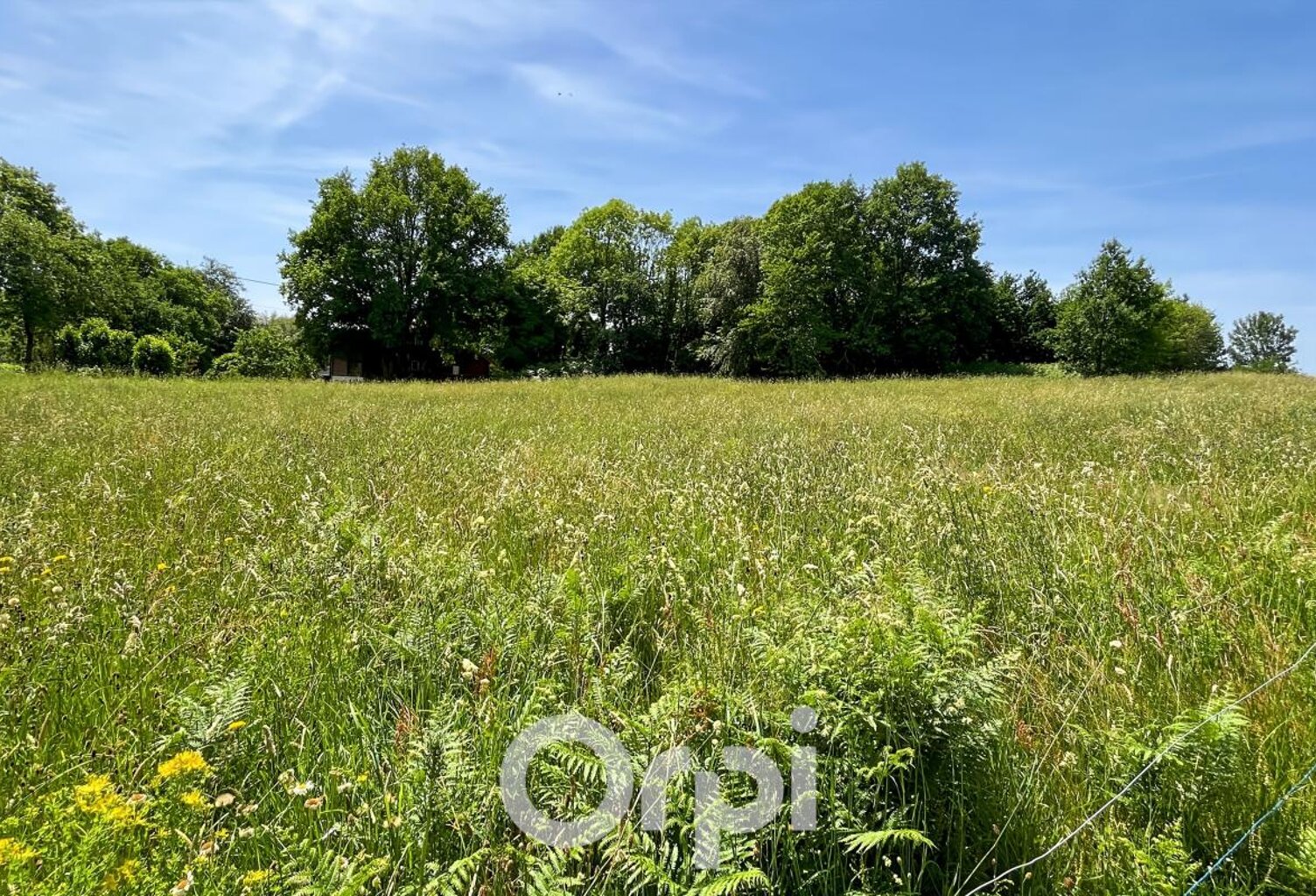 Terrain LOT C AMBAZAC — photo 1