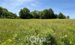 Commerce  1100 m² à vendre à Ambazac (87240)