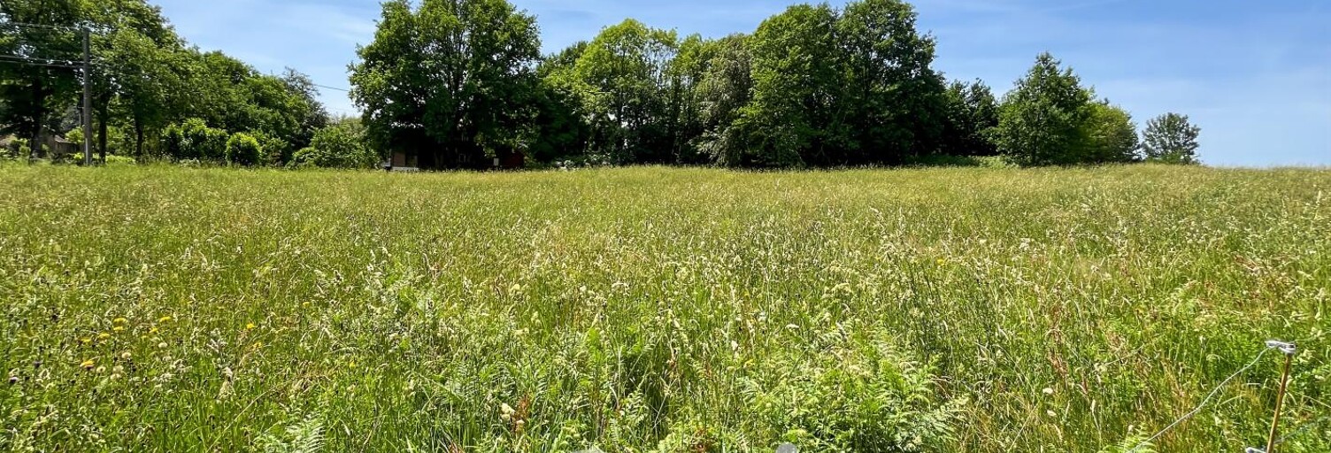 Commerce  1100 m² à vendre à Ambazac (87240)