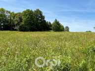 Terrain LOT C AMBAZAC — photo 4