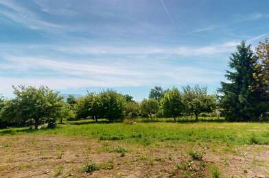 Terrain  319500 €