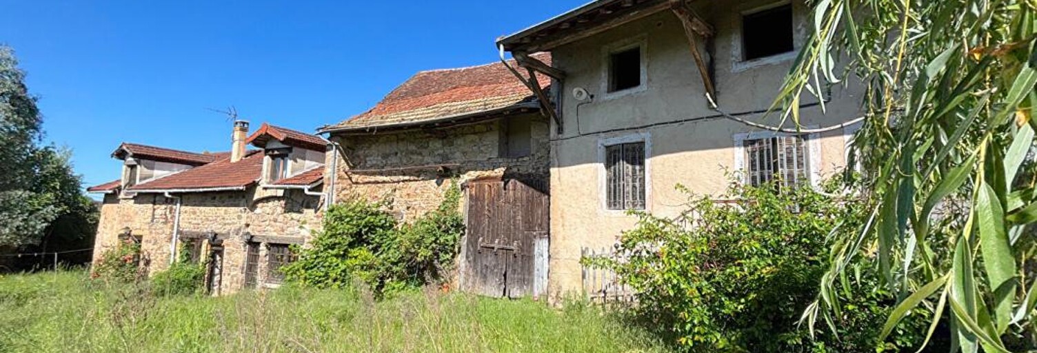 Maison 9 Pièces 160 m² à vendre à La Chapelle-du-Mont-de-France (71520)