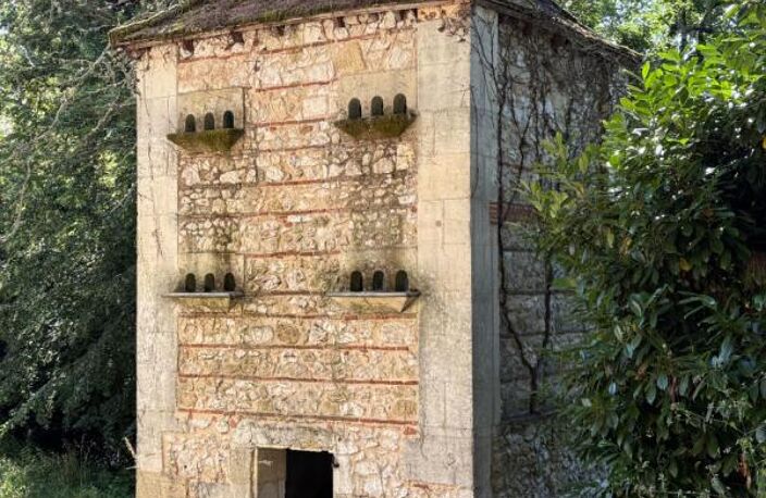 SUPERBE CHATEAU D'EXCEPTION À RÉNOVER ? VUE PANORAMIQUE SUR LA DORDOGNE — photo 2