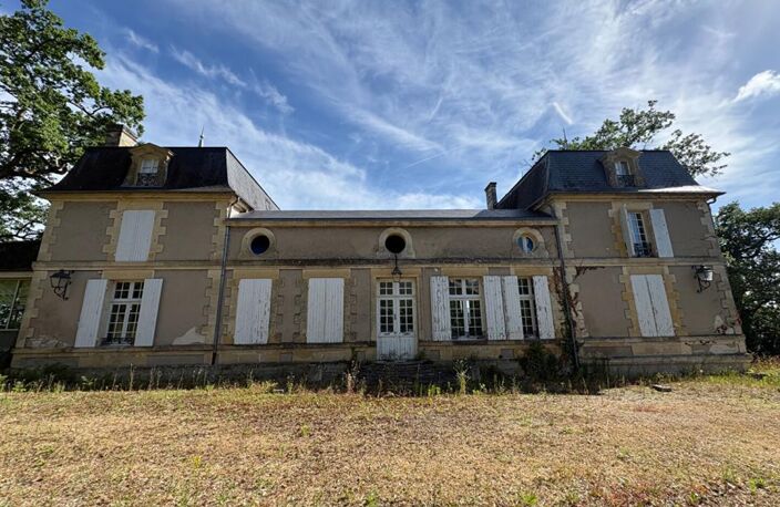 SUPERBE CHATEAU D'EXCEPTION À RÉNOVER ? VUE PANORAMIQUE SUR LA DORDOGNE — photo 4