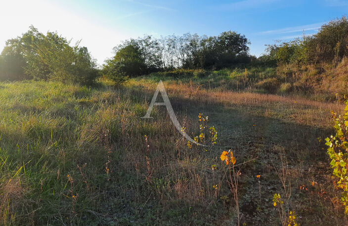 Terrain à batir sur la commune de Monclar De Quercy ! — photo 5