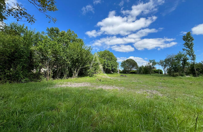 Terrain à Montdurausse de 3577 m² ! — photo 2