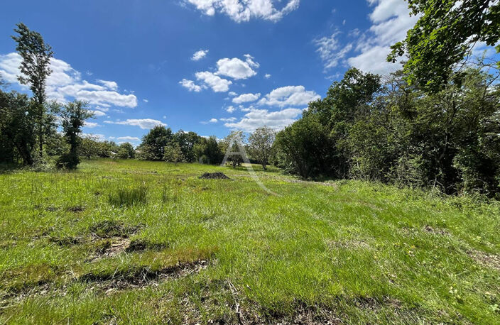 Terrain à Montdurausse de 3577 m² ! — photo 3