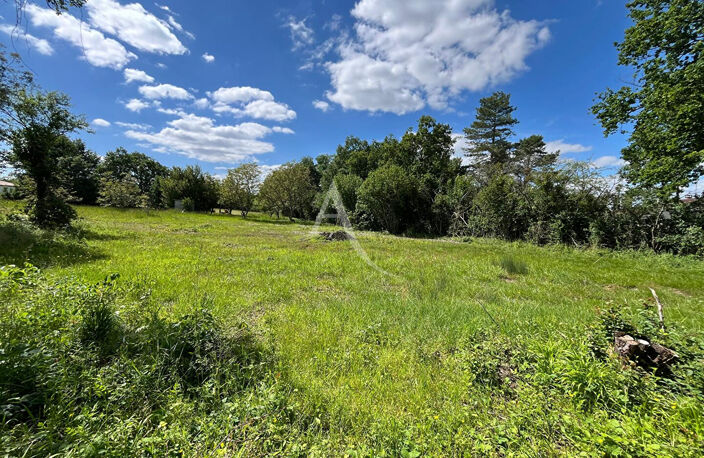 Terrain à Montdurausse de 3577 m² ! — photo 4