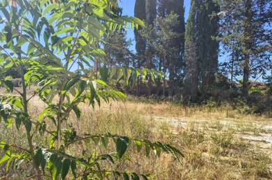 Terrain  115000 €