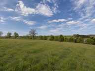 Corps de ferme à rénover, 4,28 ha — photo 4