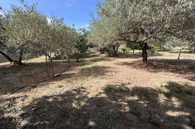 Terrain  251000 €