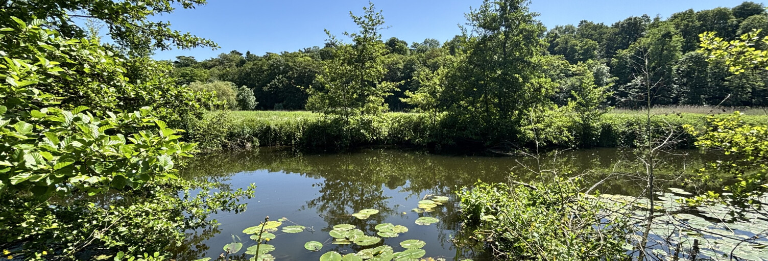 Terrain  1761 m² à vendre à Châteaudun (28200)
