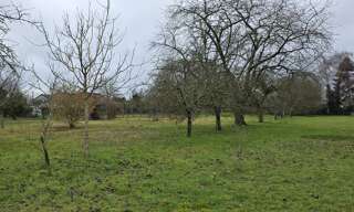 Terrain  3100 m² à vendre à Ardentes (36120)