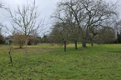 Terrain  164000 €