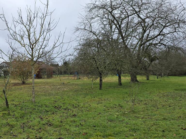 Terrain — photo 1