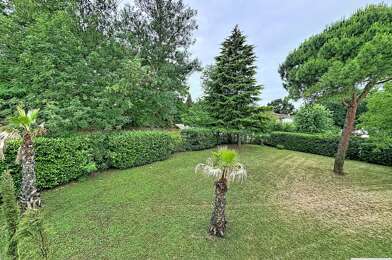 Terrain  200000 €