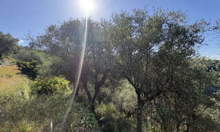 Terrain  7875 m² à vendre à La Roquette-sur-Var (06670)