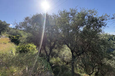 Terrain  20000 €