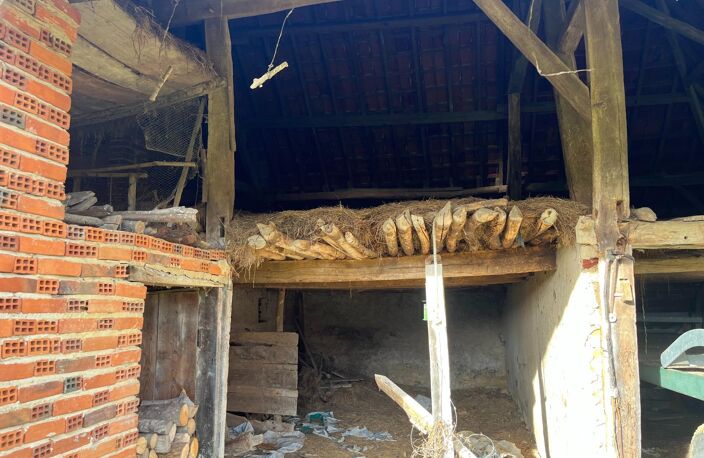 Grange sur superbe terrain de plus de 8000 m² — photo 2