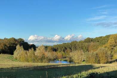 Terrain  97500 €
