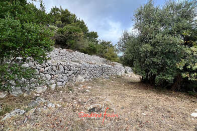 Terrain  250000 €