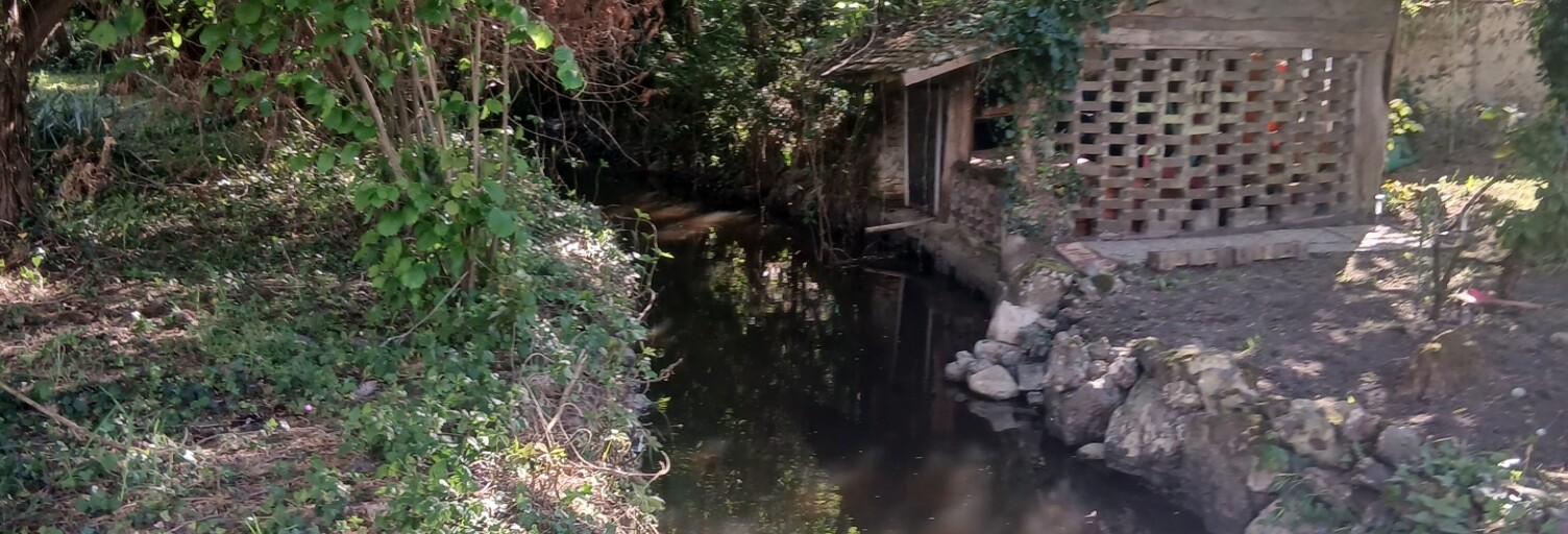 Photo N° 2