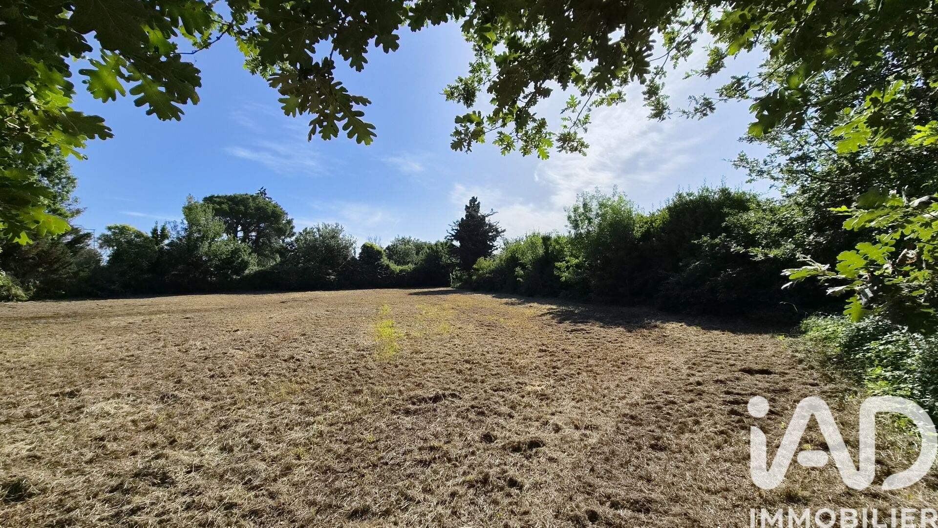 Thuir - 2920m²