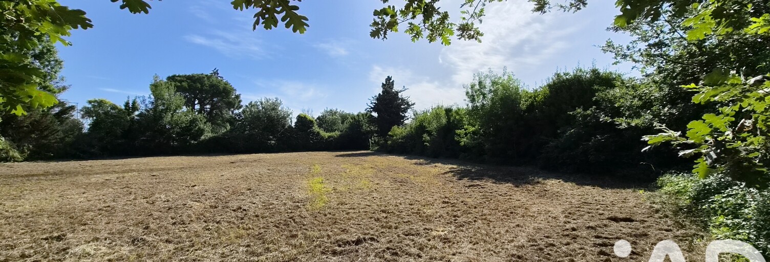 Terrain  2920 m² à vendre à Thuir (66300)
