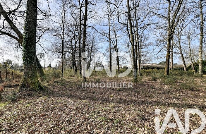 Vente Terrain à bâtir 4 384 m&sup2; — photo 3