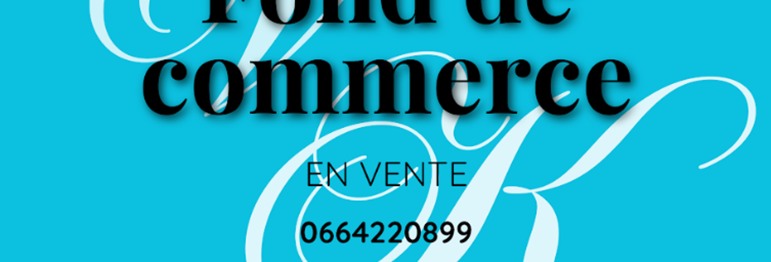 Commerce  200 m² à vendre à Cravant (45190)