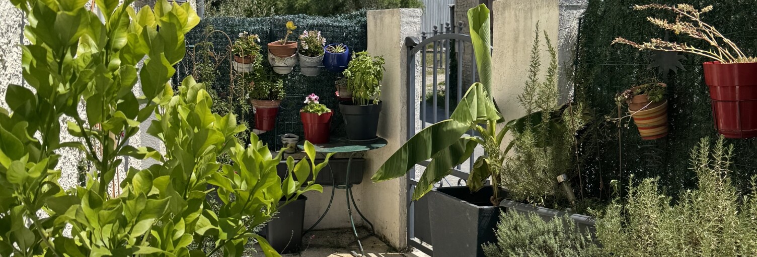 Photo N° 2
