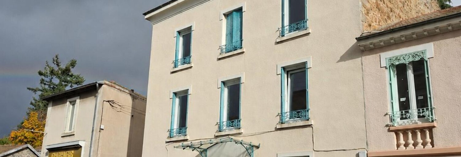 Maison 9 Pièces 221 m² à vendre à Panissières (42360)
