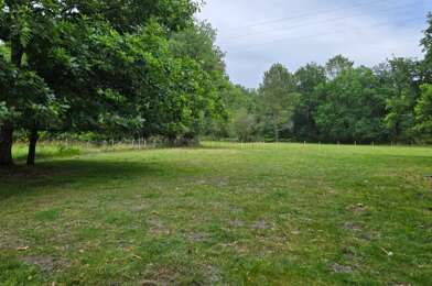 Terrain  55000 €