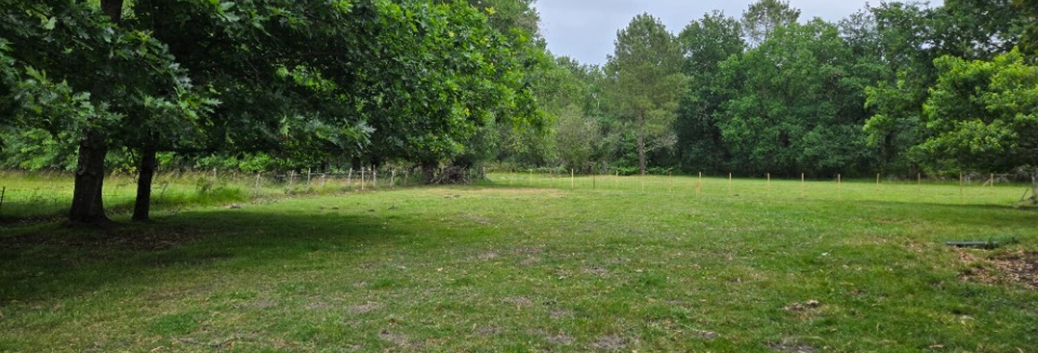 Terrain  1500 m² à vendre à Saint-Savin (33920)