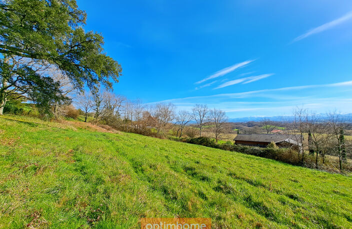 Proche de SAUVETERRE DE BEARN (64) — photo 3