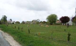 Terrain  445 m² à vendre à Balanzac (17600)
