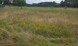 Terrain  1057 m² à vendre à Saint-Savin (33920)