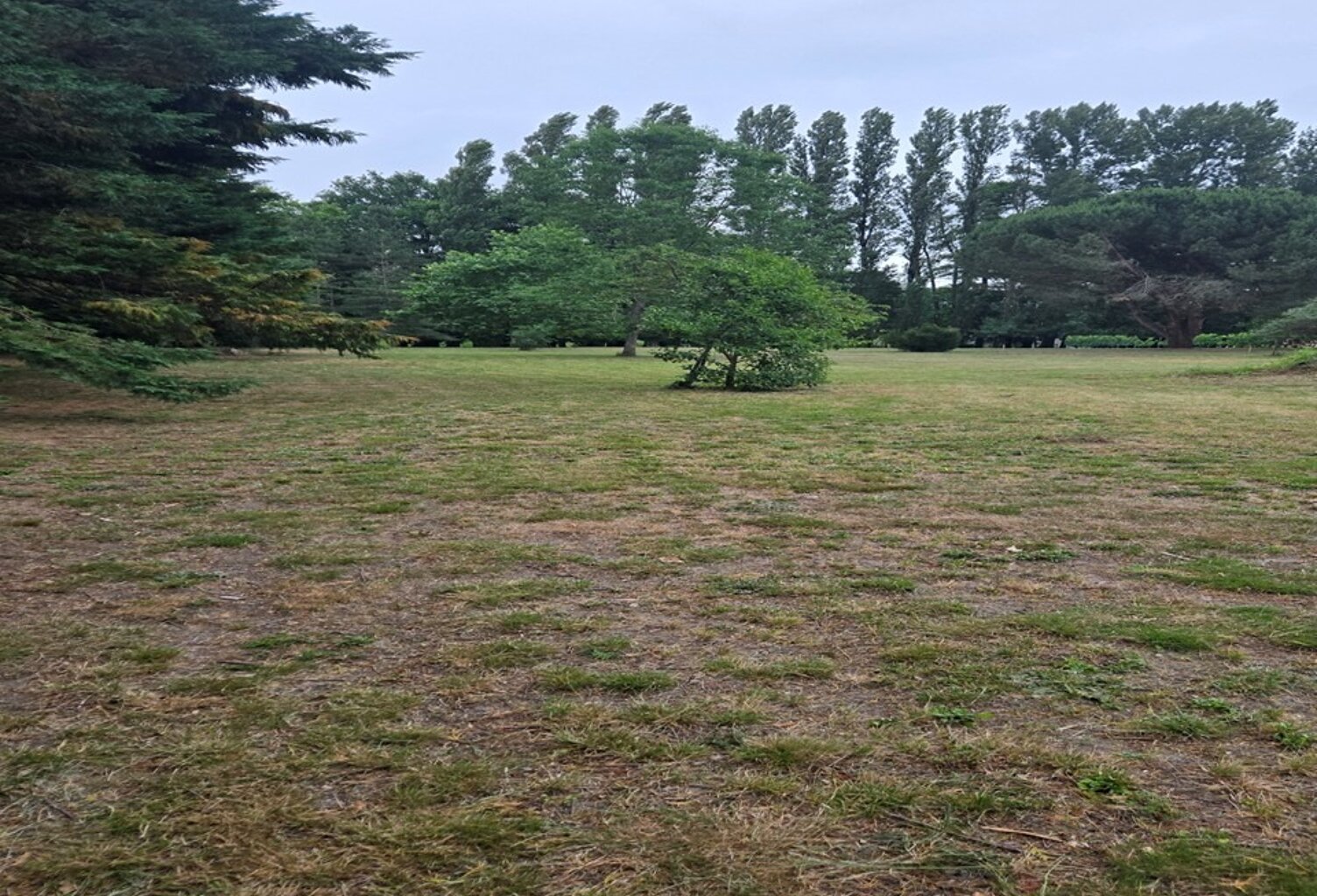 Terrain à bâtir à Périssac (33240) — photo 1