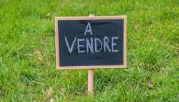 Agence immobilière de LOGIS CONSEIL CONSTRUCTION