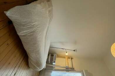 Appartement 1 pièces 700 €