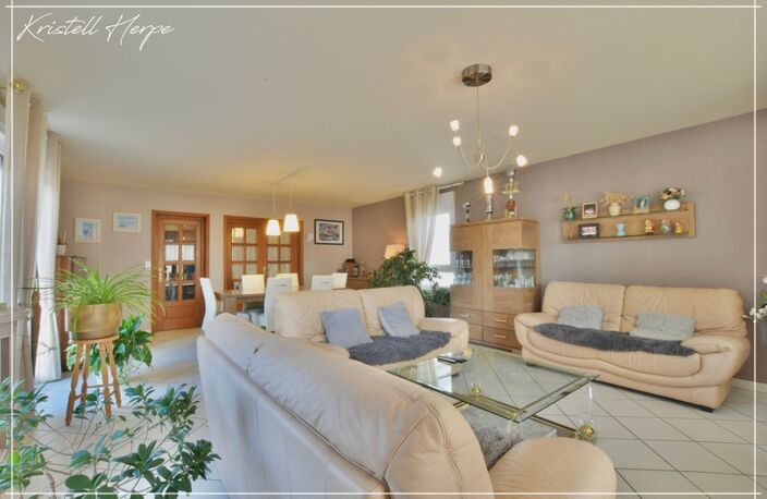 Dpt Finistère (29), à vendre CARHAIX PLOUGUER maison P9 de 232 m² - Terrain de 2133 m² — photo 2
