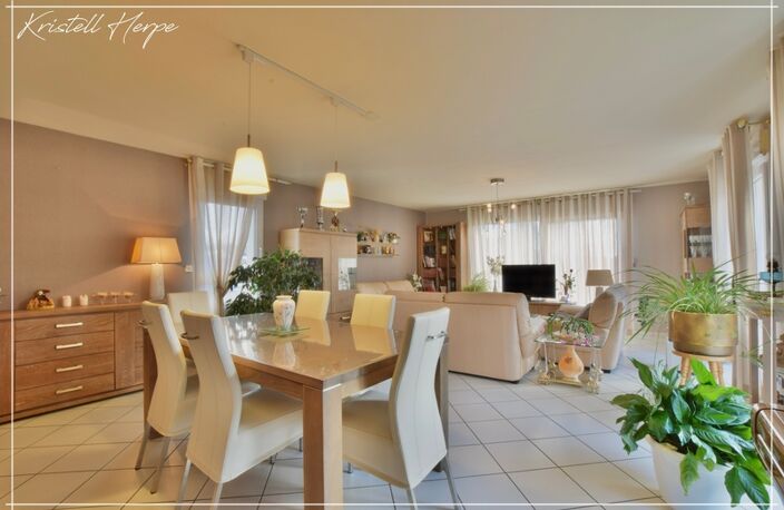 Dpt Finistère (29), à vendre CARHAIX PLOUGUER maison P9 de 232 m² - Terrain de 2133 m² — photo 4