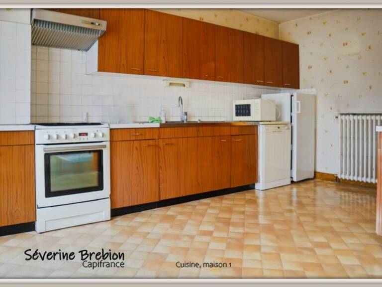 Ensemble immobilier de 2 maisons avec jardin et garage CHABRELOCHE (63) — photo 1