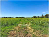 Propriéte agricole secteur EAUZE (32) Maison Gasconne 10 Pièces + Nombreux hangars 2 LACS SANS VIS à VIS — photo 2