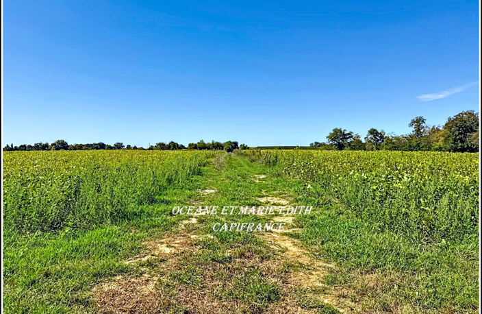 Propriéte agricole secteur EAUZE (32) Maison Gasconne 10 Pièces + Nombreux hangars 2 LACS SANS VIS à VIS — photo 2
