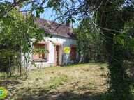 Dans un cadre Bucolique  — photo 2