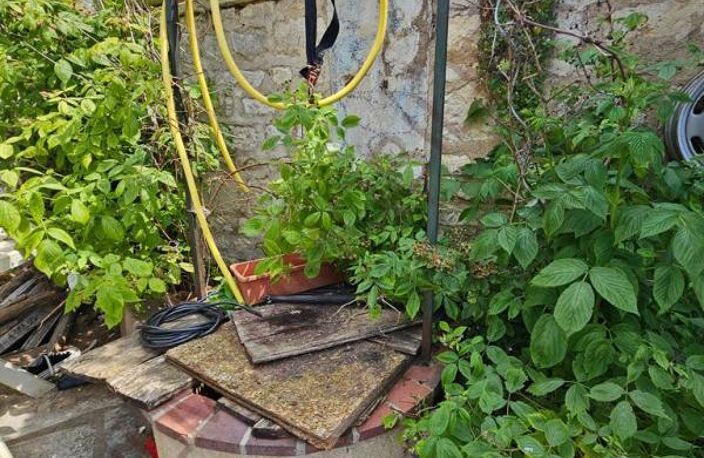 MAISON EN PIERRES VILLAGE COMMERCES 89 YONNE — photo 5