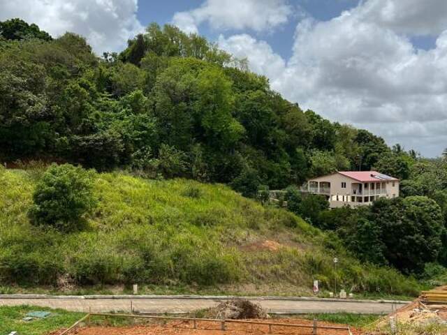 Terrain À Vendre — photo du bien