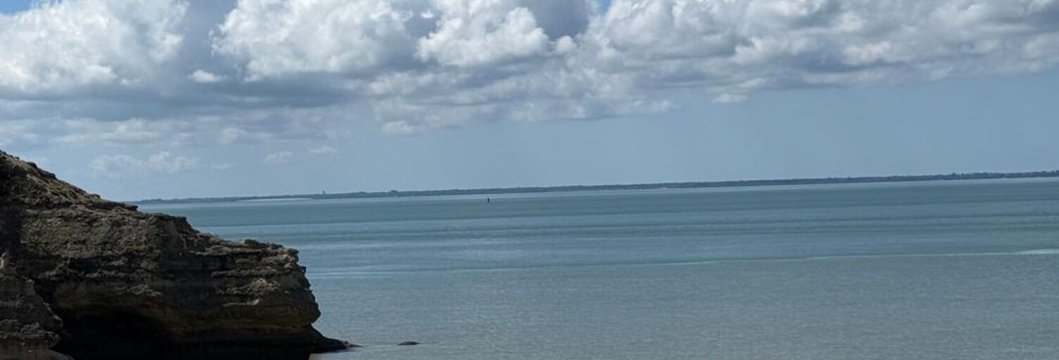 Photo N° 2